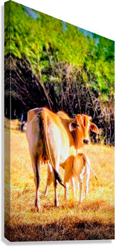 2470804 :: Giclée Stretched Canvas Print